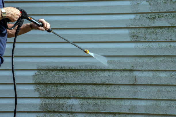 Best Gutter Cleaning  in Iron River, MI